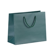 Papírová taška luxusní dárková 250x100x200 mm / zelená