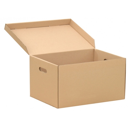 Úložný box s víkem 560x370x275 mm 3VVL - pevný