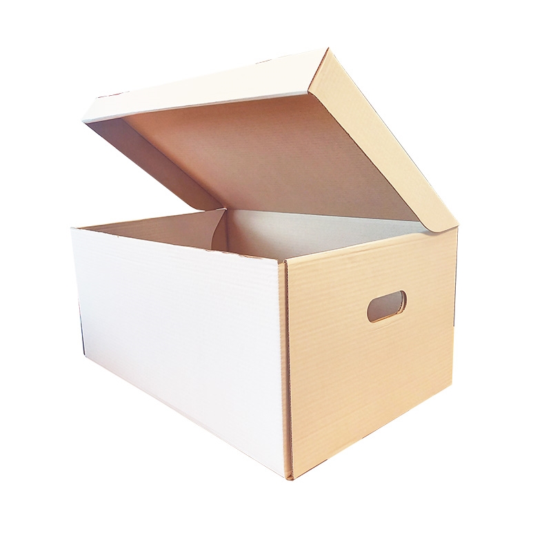 Úložný box s víkem 560x370x275 mm 3VVL bílá