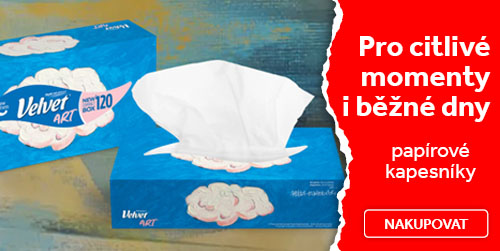 papirove kapesniky