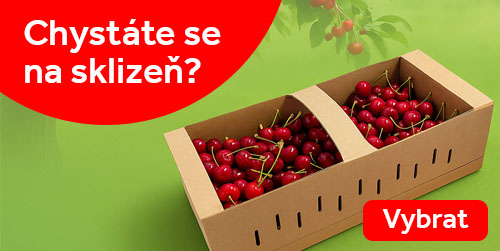 košík na ovoce