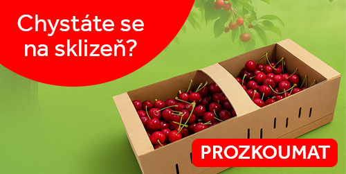 košík na ovoce