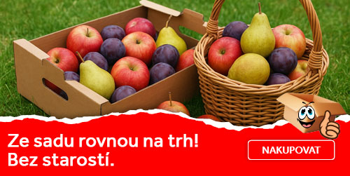 kartonové přepravky
